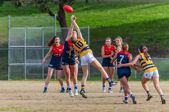 Rd 14 WPD - Pennant Hills v Sydney Uni - 16 July 2022