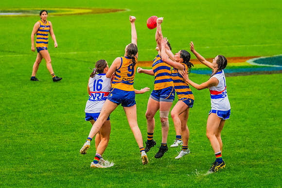 Rd 8 WPD - UNSW-ES v Sydney Uni - 1 June 2024