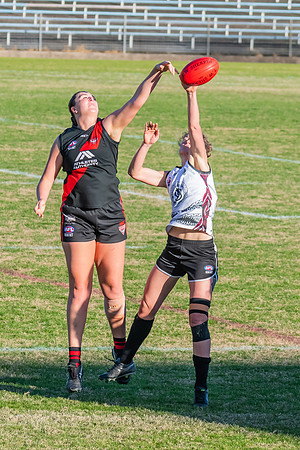 WPD Elimination Final - North Shore v Inner West - 7 August 2022