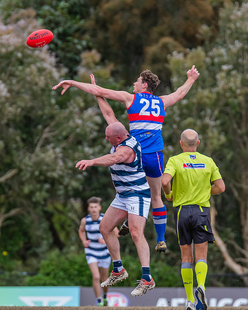 Black Diamond Shield Warners Bay v Muswellbrook - 17 September 2022