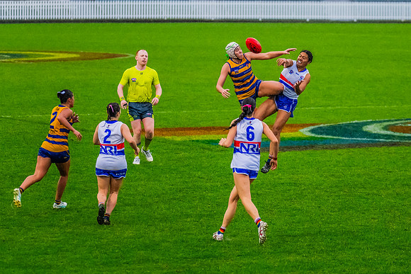 Rd 8 WPD - UNSW-ES v Sydney Uni - 1 June 2024