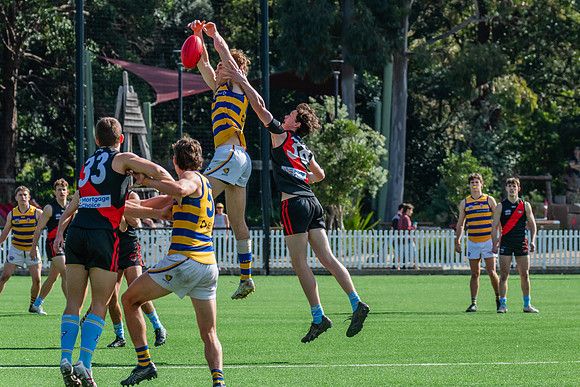 Rd 15 MPD - North Shore v Sydney Uni - 3 August 2024