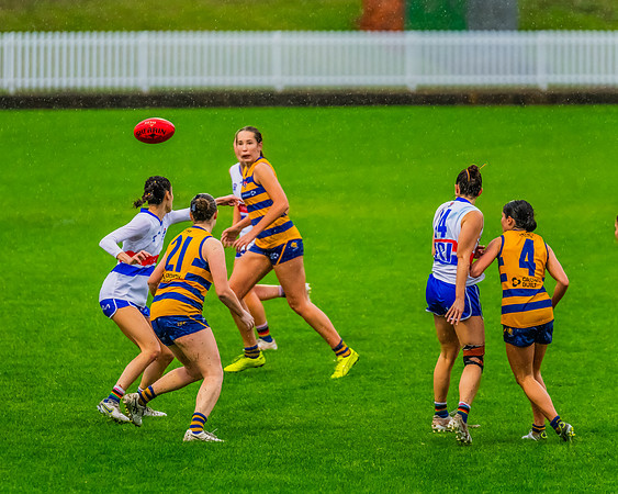 Rd 8 WPD - UNSW-ES v Sydney Uni - 1 June 2024