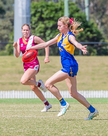WPD Qualifying Final 2 - East Coast v Manly Warringah - 7 Septem