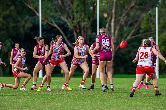 Rd 6 WPD - St George v Manly Warringah - 17 May 2025