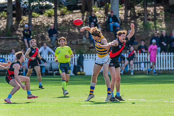 Rd 15 MPD - North Shore v Sydney Uni - 3 August 2024