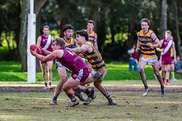 Rd 17 MPD - Manly Warringah v Sydney Uni - 16 August 2025