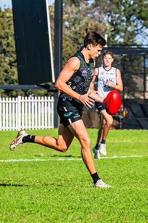 Rd 8 MPD - UTS v SWS - 31 May 2025