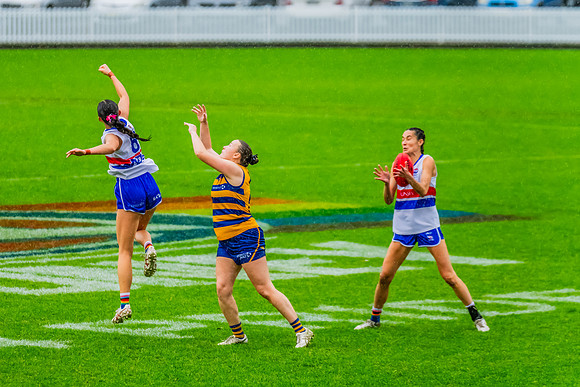 Rd 8 WPD - UNSW-ES v Sydney Uni - 1 June 2024