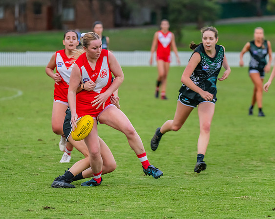Rd 7 WPD - St George v UTS - 25 May 2024