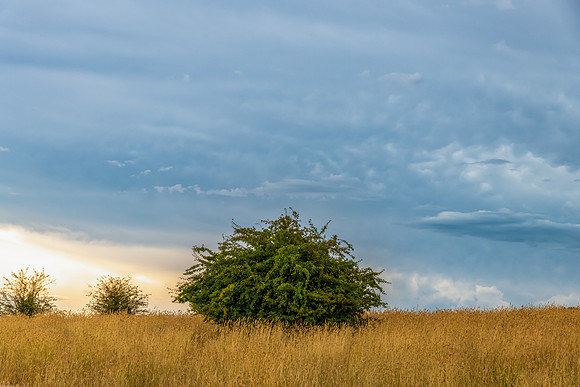 Late afternoon storm brewing over the rural countryside