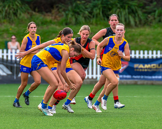 Rd 4 WPD - North Shore v East Coast - 26 April 2025