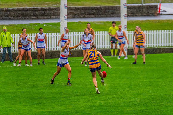 Rd 8 WPD - UNSW-ES v Sydney Uni - 1 June 2024