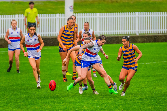 Rd 8 WPD - UNSW-ES v Sydney Uni - 1 June 2024