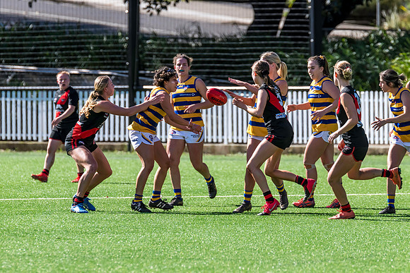 Rd 3 WPD - North Shore v Sydney Uni - 23 April 2022