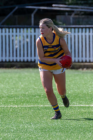 Rd 3 WPD - North Shore v Sydney Uni - 23 April 2022