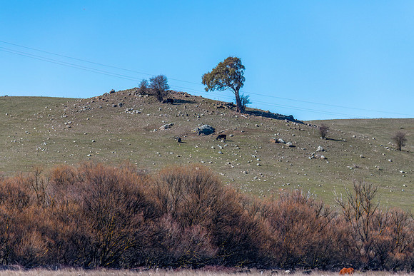 A Winter's morning view over rural land
