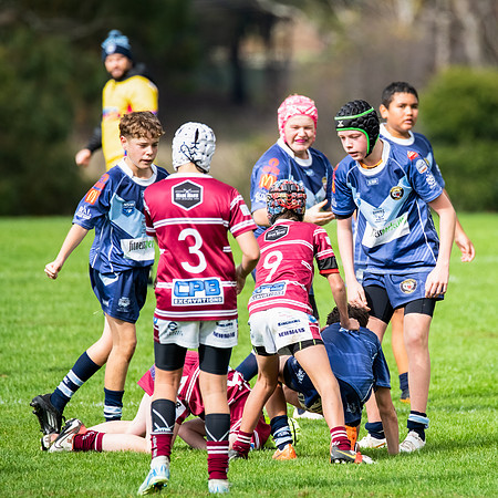 Rd 4 Bloomfield Tigers U13s v Blayney U13s - 24 May 2025