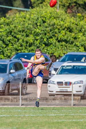 MPD Reserves Major Semi Final - Sydney University v North Shore