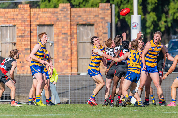 MPD Reserves Major Semi Final - Sydney University v North Shore