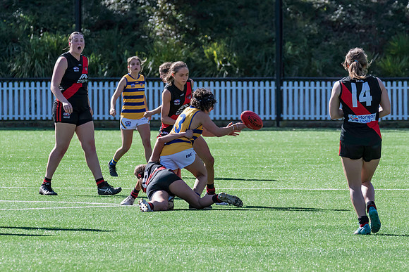 Rd 3 WPD - North Shore v Sydney Uni - 23 April 2022