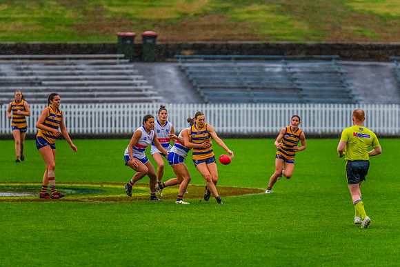 Rd 8 WPD - UNSW-ES v Sydney Uni - 1 June 2024