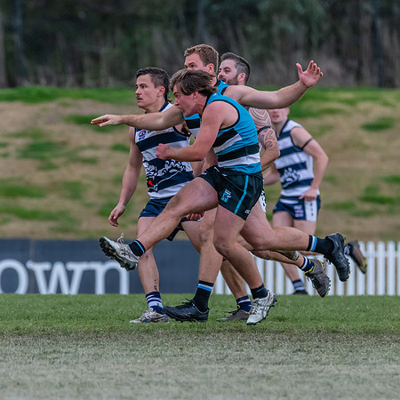 Platinum Div Preliminary Final - Southern Power v Camden Cats -