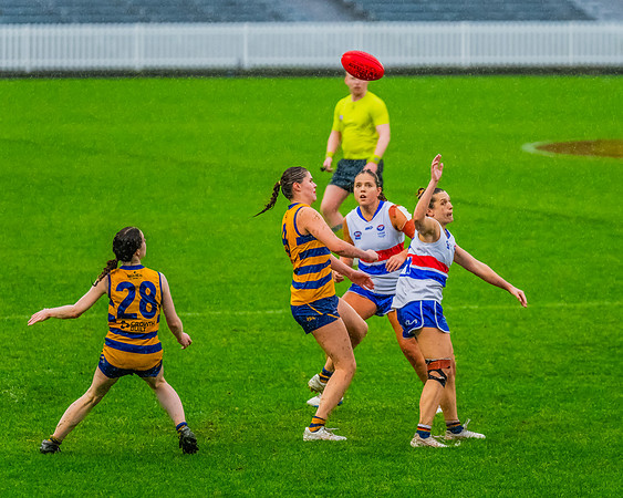 Rd 8 WPD - UNSW-ES v Sydney Uni - 1 June 2024