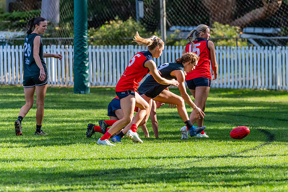 Rd 11 WPD - UTS v Pennant Hills - 25 June 2022