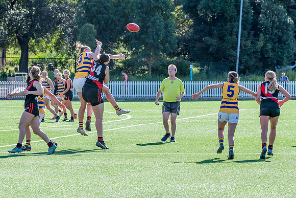 Rd 3 WPD - North Shore v Sydney Uni - 23 April 2022