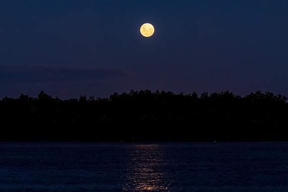 Full Moon Rising at the Waterfront