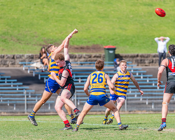 MPD Reserves Major Semi Final - Sydney University v North Shore