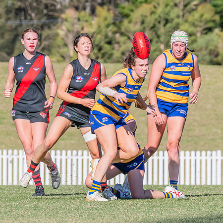 WPD Elimination Final - North Shore v Sydney Uni - 1 September 2