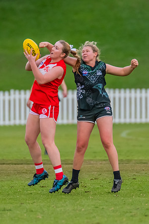 Rd 7 WPD - St George v UTS - 25 May 2024
