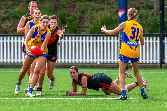 Rd 4 WPD - North Shore v East Coast - 26 April 2025