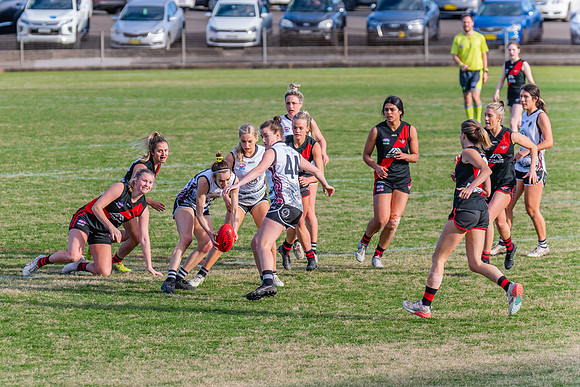 WPD Elimination Final - North Shore v Inner West - 7 August 2022