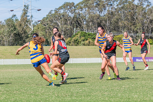 WPD Elimination Final - North Shore v Sydney Uni - 1 September 2