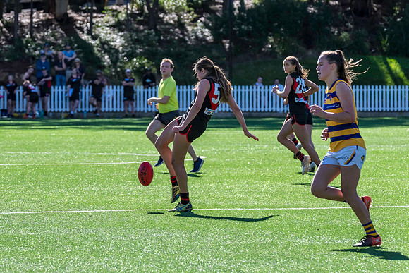 Rd 3 WPD - North Shore v Sydney Uni - 23 April 2022