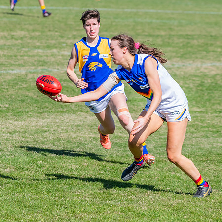 WPD Preliminary Final - East Coast v Sydney University - 21 Augu