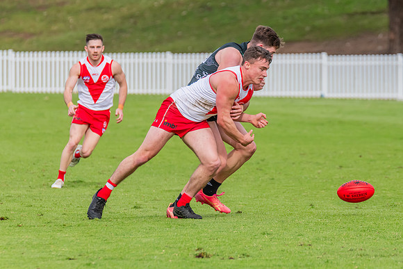 Rd 7 MPD - St George v UTS - 25 May 2024
