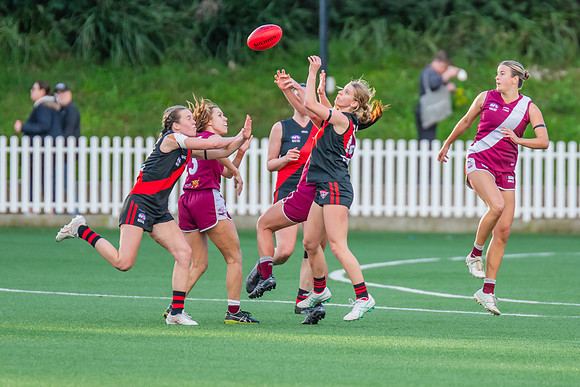Rd 1 WPD - North Shore v Manly Warringah - 8 June 2024