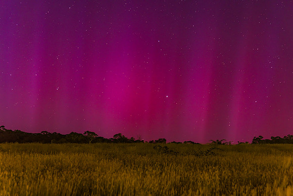 Aurora Australis display lights up the predawn sky in pinks
