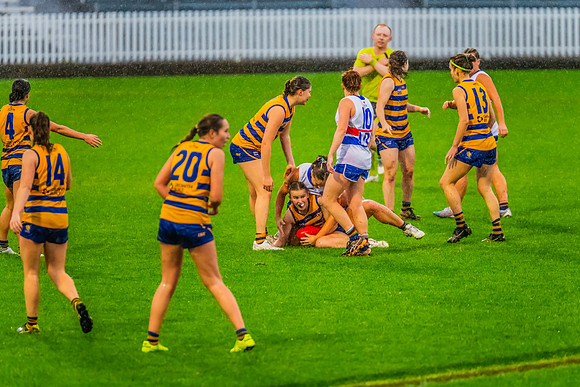 Rd 8 WPD - UNSW-ES v Sydney Uni - 1 June 2024