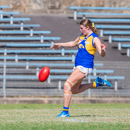 WPD Preliminary Final - East Coast v Sydney University - 21 Augu