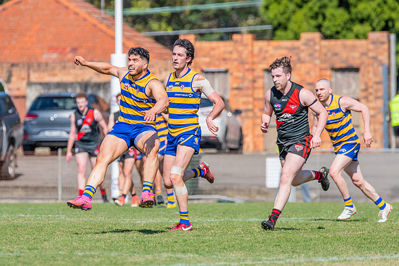 MPD Reserves Major Semi Final - Sydney University v North Shore