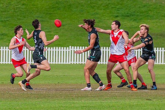 Rd 7 MPD - St George v UTS - 25 May 2024