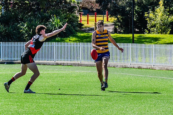 Rd 15 Men's Div 1 - North Shore v Sydney Uni - 3 August 2024