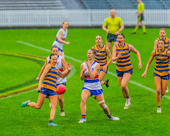 Rd 8 WPD - UNSW-ES v Sydney Uni - 1 June 2024