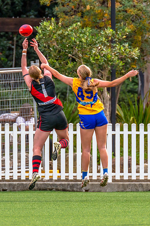 Rd 4 WPD - North Shore v East Coast - 26 April 2025