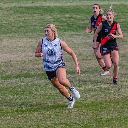 WPD Elimination Final - North Shore v Inner West - 7 August 2022